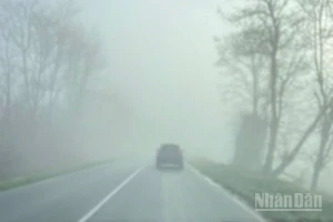 Dự báo khu vực Bắc Bộ có mưa vài nơi, sáng sớm có sương mù và sương mù nhẹ. (Ảnh minh họa: Đ.T)