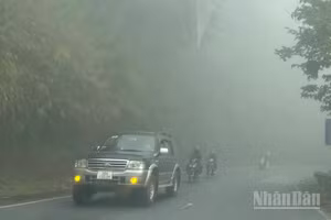 Dự báo khu vực vùng núi và trung du Bắc Bộ có mưa, mưa rào và có nơi có dông, cục bộ có nơi mưa to đến rất to. (Ảnh minh họa: Đ.T)