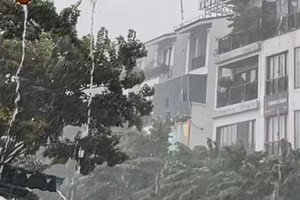 Dự báo khu vực Bắc Bộ chiều tối và đêm có mưa rào và dông. (Ảnh minh họa: Đ.T)