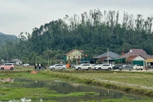 Hàng chục ô-tô từ khắp nơi đổ về khu vực đấu giá đất Rú Cụp-Nam Lĩnh xã Đại Huệ, tỉnh Nghệ An.