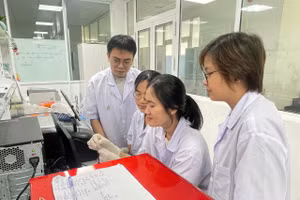 Nhóm nghiên cứu thực hiện nghiên cứu các hợp chất sau chiết xuất của cây nghệ trắng. (Ảnh: TRUNG HIẾU)