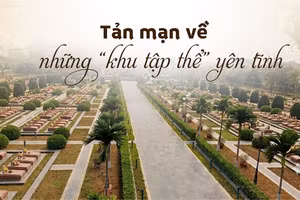 Tản mạn về những “khu tập thể yên tĩnh”