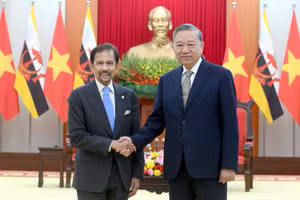 Tổng Bí thư Tô Lâm và Quốc vương Brunei Darussalam Haji Hassanal Bolkiah. (Ảnh: ĐĂNG KHOA)