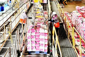 Dây chuyền sản xuất xi-măng tại Công ty INSEE.