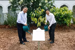 Tổng Bí thư, Chủ tịch nước Tô Lâm và Thủ tướng Singapore Lawrence Wong trồng cây lưu niệm. (Ảnh: TTXVN)