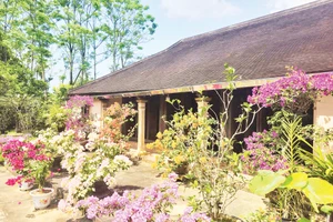 Một ngôi nhà rường cổ trong khuôn viên vườn ngập sắc hoa ở Hội Kỳ.