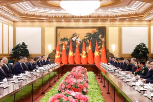 Tổng Bí thư, Chủ tịch nước Tô Lâm hội đàm với Tổng Bí thư, Chủ tịch nước Trung Quốc Tập Cận Bình. (Ảnh: Thống Nhất/TTXVN)