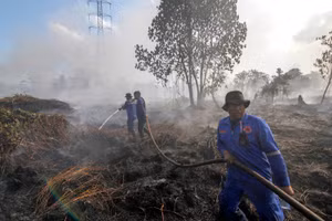 Lính cứu hỏa nỗ lực dập lửa cháy rừng tại Pekanbaru, tỉnh Riau, Indonesia trong mùa khô năm 2025. (Ảnh: THX/TTXVN)