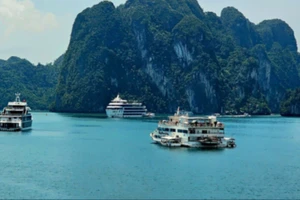 Tàu du lịch chở khách tham quan Vịnh Hạ Long. (Ảnh minh họa)