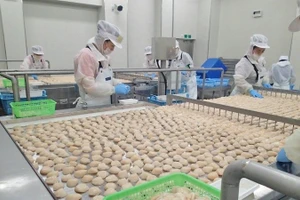 Người lao động Việt Nam vốn chăm chỉ, song cần nâng cao chất lượng tay nghề để có thể vươn đến phân khúc thu nhập cao.