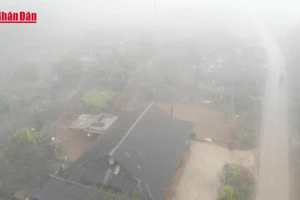 [Video] 15 tỉnh, thành phải ứng phó không khí lạnh gây rét đậm, rét hại 