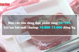 [Video] Dự báo giá lợn hơi dịp Tết quanh mức 70.000-75.000 đồng/kg