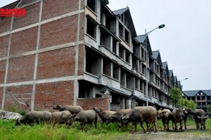 [Video] Có thể điều tra, truy tố và xét xử hình sự hành vi lãng phí đất đai