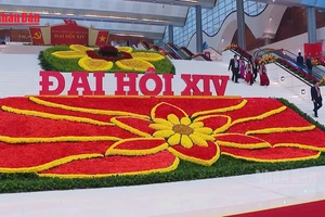 [Video] Tin tưởng vào Đại hội của khát vọng và niềm tin