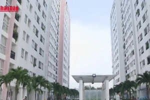 [Video] Nhiều chủ nhà “vỡ mộng” đầu tư cho thuê chung cư 