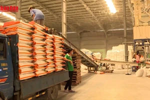 [Video] Xuất hơn 12.700 tấn gạo hỗ trợ người dân dịp Tết Nguyên đán