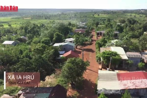 [Video] Tất cả vì cuộc sống ấm no, hạnh phúc của nhân dân