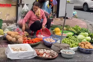 [Video] Bộ Y tế yêu cầu bảo đảm an toàn thực phẩm trong phòng chống virus Nipah