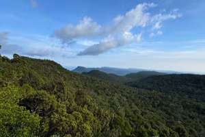 Cấp xã lần đầu được phê duyệt quản lý rừng bền vững.