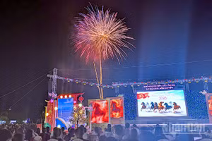 Pháo hoa tung bay trong nền trời đêm giao thừa tại Quảng trường Phan Ngọc Hiển, phường An Xuyên, tỉnh Cà Mau.