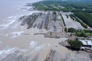 Sạt lở đất diễn biến phức tạp, phương hại trực tiếp đến tính mạng và đời sống của người dân vùng ven biển Cà Mau.