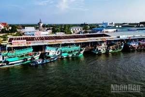 Với chính sách mới vừa ban hành, ngư dân Cà Mau được hỗ trợ 100% chi phí cước thuê bao hằng tháng trên thiết bị VMS đến hết năm 2028.