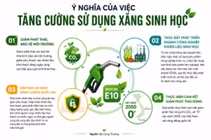 Áp dụng xăng sinh học E10 trên phạm vi toàn quốc.