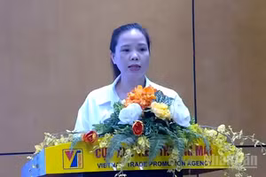 Phó Giám đốc Trung tâm Hỗ trợ xúc tiến thương mại và đầu tư.