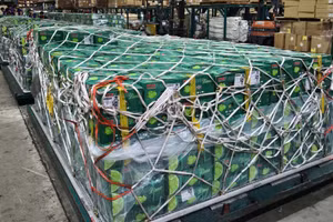 Hình ảnh các lô hàng từ Việt Nam chuẩn bị được đưa lên máy bay vận chuyển sang Dubai.