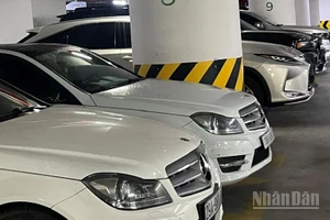 Sửa đổi, bổ sung quy định về đấu giá hạn ngạch thuế quan nhập khẩu ô tô đã qua sử dụng. (Ảnh: KIM DUNG)