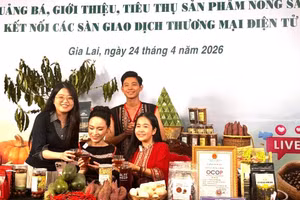 Chương trình Livestream quảng bá, giới thiệu, tiêu thụ sản phẩm nông sản tại Ủy ban nhân dân phường Hội Phú, Gia Lai.