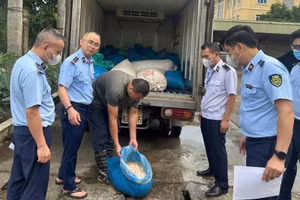 Đội Quản lý thị trường số 9 phối hợp cơ quan chức năng kiểm tra xe vi phạm.