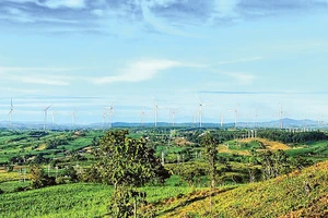 Phát triển điện gió tại Tây Nguyên cần thêm nhiều cơ chế hỗ trợ. Ảnh EVN