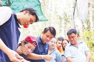 Du khách tham quan mô hình nuôi ong. Ảnh: LƯU MỸ