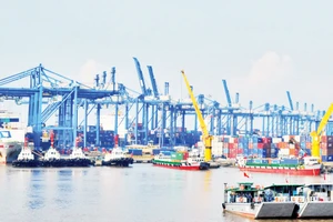 Cảng Cát Lái. Ảnh: Hải Nam