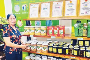 Bà Hồ Thị Quế và sản phẩm nhút Thanh Chương.