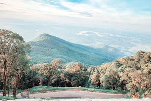 Vườn quốc gia Ba Vì là lá phổi xanh quan trọng của Thủ đô Hà Nội.