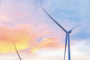 Cánh đồng điện gió ở xã Ia Pết. Ảnh: Phạm Quý