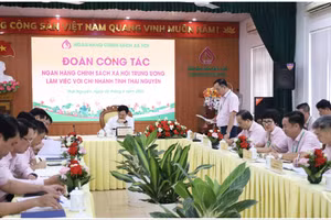 Đến ngày 31/5, tổng nguồn vốn của chi nhánh đạt 10.097 tỷ đồng, tăng 519 tỷ đồng so với cuối năm 2025.