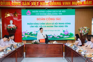 Tổng Giám đốc Ngân hàng Chính sách xã hội Trung ương Dương Quyết Thắng chủ trì buổi làm việc.