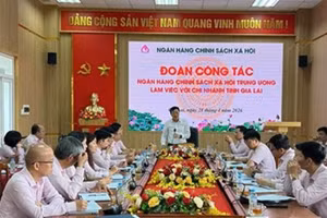 Tổng Giám đốc Ngân hàng Chính sách xã hội Dương Quyết Thắng làm việc tại chi nhánh Ngân hàng Chính sách xã hội tỉnh Gia Lai.