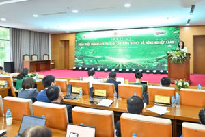 Toàn cảnh hội thảo.