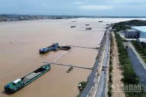 Dự án khắc phục khẩn cấp sạt lở sông Tiền đang được tỉnh Đồng Tháp đẩy nhanh tiến độ.