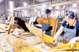 Cải cách hành chính sâu rộng đã tạo thuận lợi cho cộng đồng doanh nghiệp hoạt động trên địa bàn Thái Nguyên. Trong ảnh: Hoạt động chế biến gỗ tại Công ty TNHH Lechenwood Việt Nam, Khu công nghiệp Thanh Bình (Ảnh TUẤN SƠN)