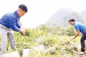 Đoàn viên, thanh niên dọn dẹp, vệ sinh kênh mương nội đồng.