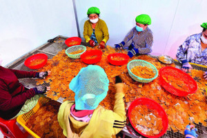 Sự chuyển mình của làng nghề thể hiện qua những dây chuyền khép kín, hiện đại tại Công ty Vĩnh Tài. Mỗi ngày, đơn vị này cung ứng ra thị trường hơn một tấn bánh thành phẩm.