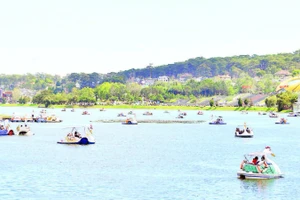 Trên hồ Xuân Hương, khu vực Lâm Đồng ngàn hoa dịp cuối tuần.