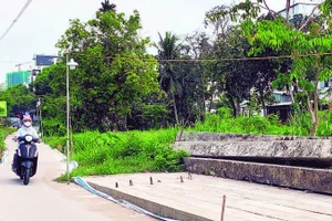 Cầu Trần Bạch Đằng ngừng thi công, người dân phải tự làm đường dân sinh đi lại giữa hai khu tái định cư.