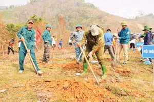 Cán bộ, chiến sĩ và nhân dân bản Pá Liếng, xã Mường Ảng, tỉnh Điện Biên ra quân đào hố trồng cây cà-phê, mắc-ca theo chủ trương chuyển đổi cơ cấu cây trồng đã được Ban Chấp hành Đảng bộ tỉnh Điện Biên khóa XV xác định.