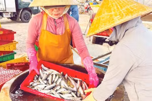 Thủy sản đóng góp tỷ trọng lớn trong cơ cấu tăng trưởng ngành nông nghiệp.